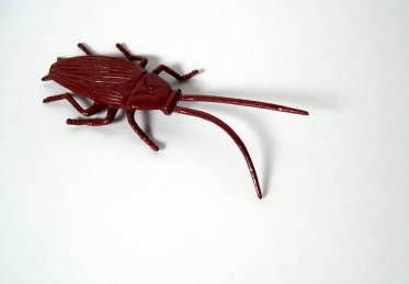 plastic bug